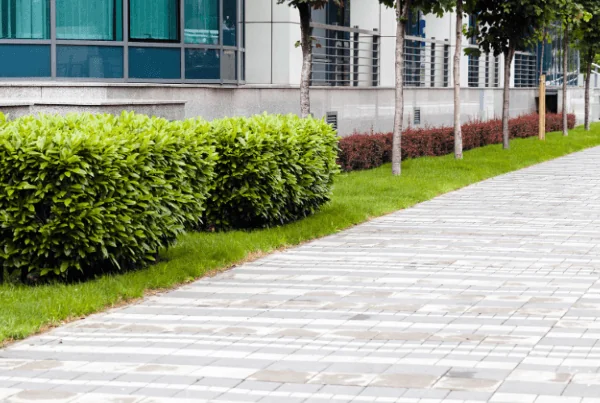 Commercial property walkway with landscaping — Charlottesville VA