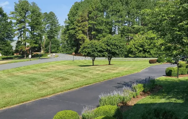 Yard grading for water drainage — Charlottesville VA