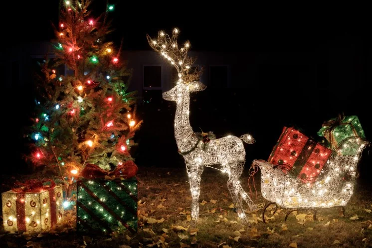 Christmas tree and reindeer holiday display — Charlottesville VA