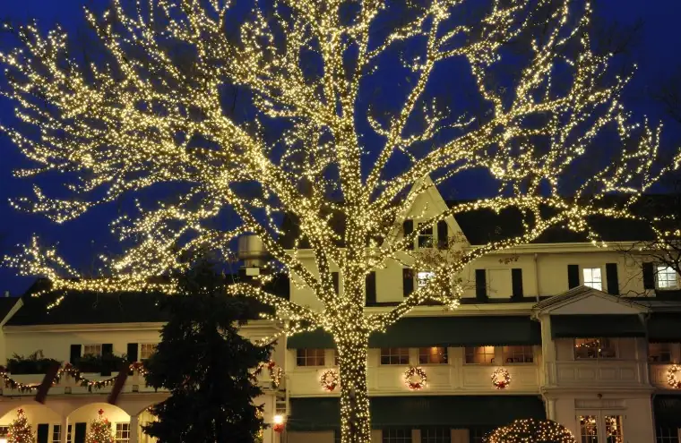 Large building and trees wrapped in holiday lights — Charlottesville VA