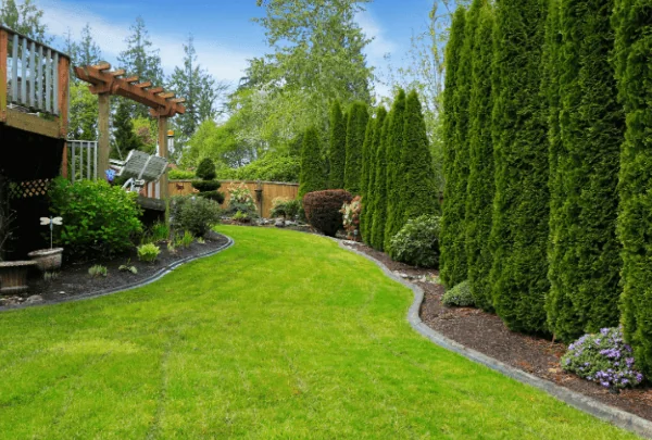 Stone-edged mulch bed and curved walkway — Charlottesville VA