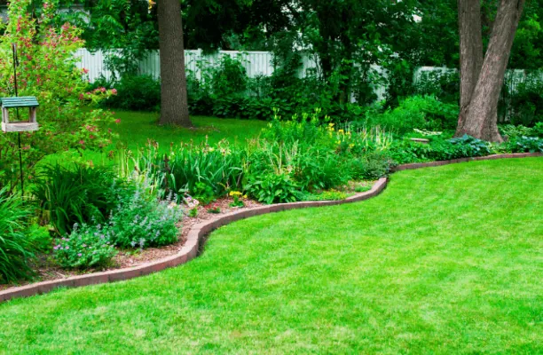 Colorful planting bed design with curved edging — Charlottesville VA