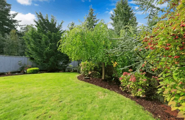 Shrub and hedge bed installation — Charlottesville VA