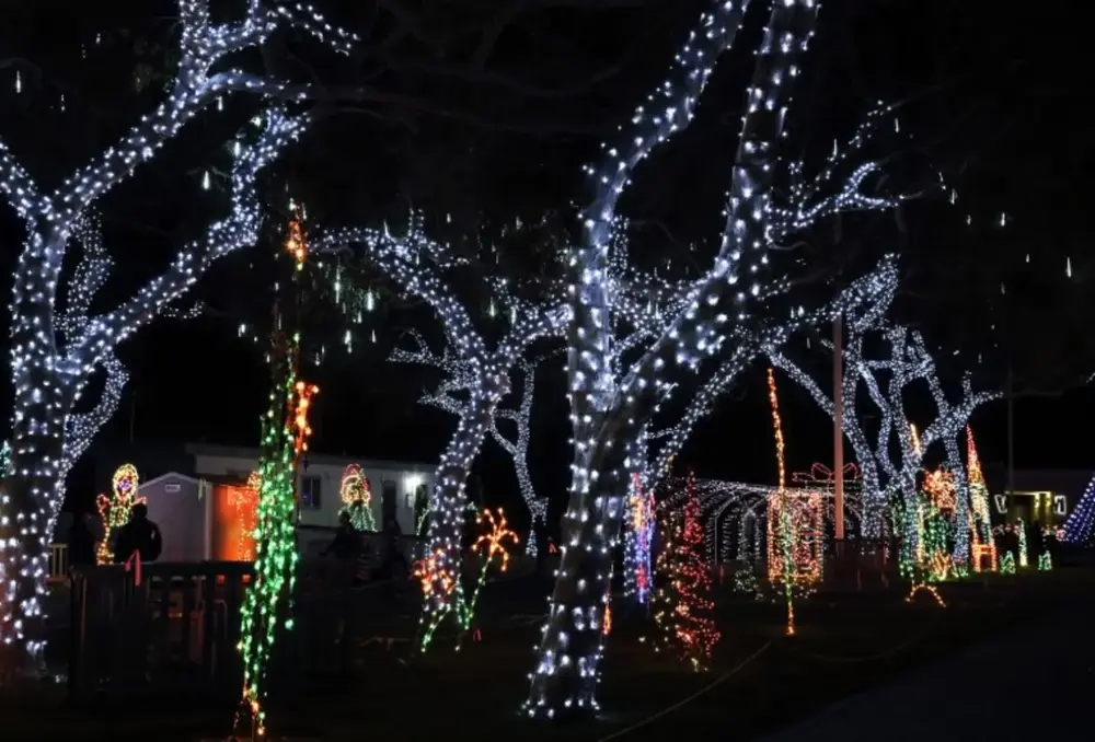 Holiday lighting installation — Charlottesville VA