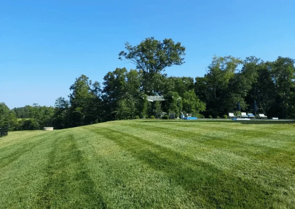Freshly striped, mowed lawn — Charlottesville VA