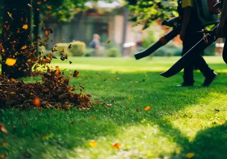 Leaf blower clearing yard debris — Charlottesville VA