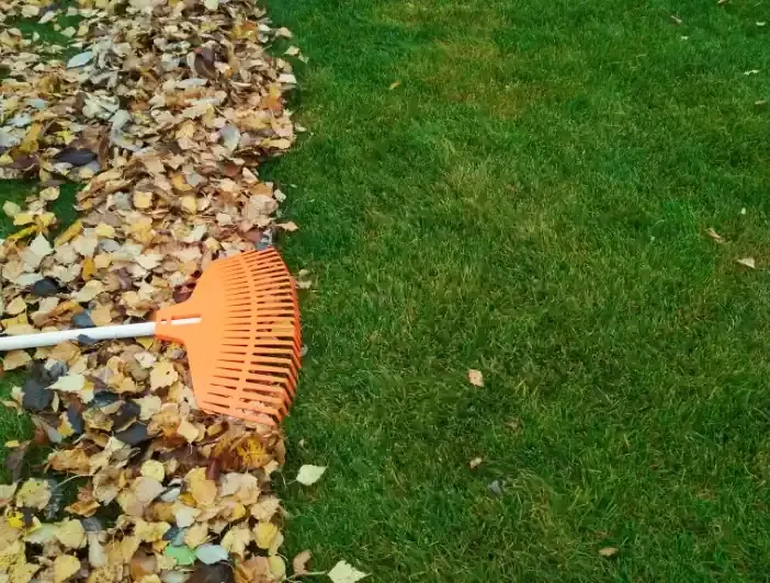 Leaf pile cleared from lawn edge — Charlottesville VA