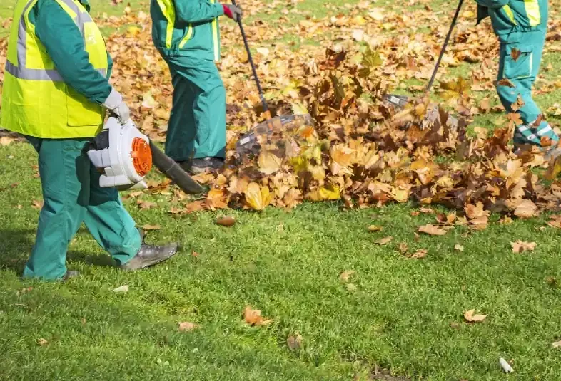 Green Thumb crew removing leaves with blowers — Charlottesville VA