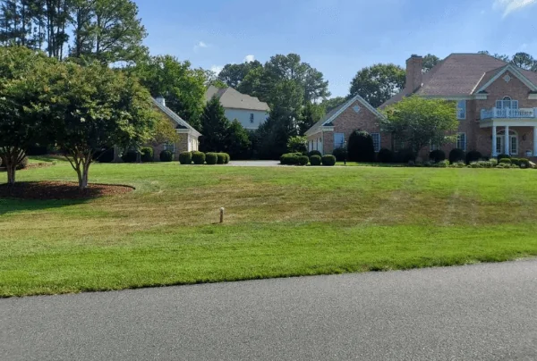 New sod lawn along circular driveway — Charlottesville VA