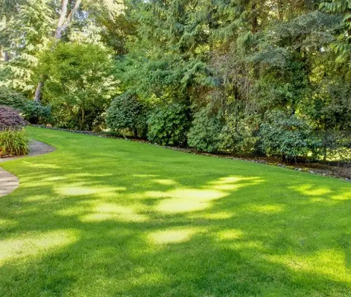 Graded and leveled yard ready for sod — Charlottesville VA