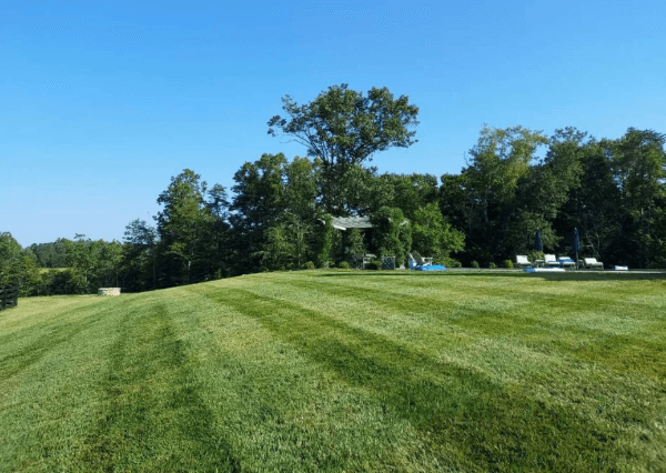 Lawn Mowing Charlottesville VA Green Thumb Landscaping GT Landscaping lawn-mowing-charlottesville-va-green-thumb-landscaping-gt-landscaping